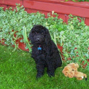 Meet your Posher, Clare